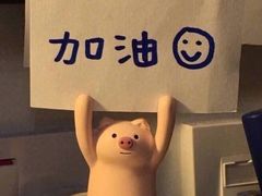 -朱氏胖子烂火锅(洪崖洞店)