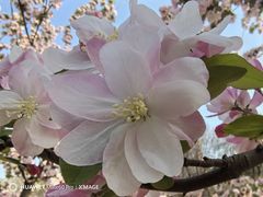 -元大都城垣遗址公园