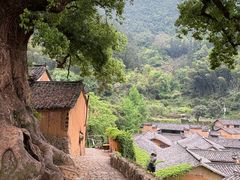 -杨家堂村