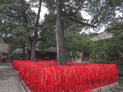 -红螺寺