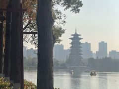 -洋湖国家湿地公园