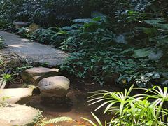-广州兰圃