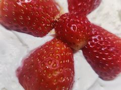 -喜杨洋草莓采摘园