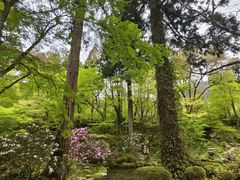 -三千院