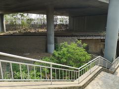 -白水寺森林公园