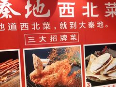 -大秦地·西北菜(纬四路店)