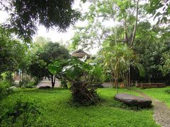 -瑞丽独树成林风景区