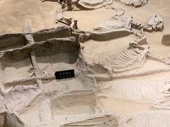 -洛阳周王城天子驾六博物馆