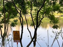-重庆彩云湖湿地公园