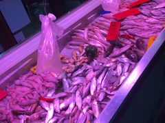 -四海之家(蛇口店)