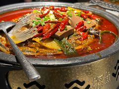 -探鱼·鲜青椒爽麻烤鱼(天一广场店)