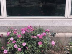 -苏州图书馆(人民路总馆)