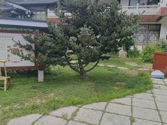 -威海华夏城景区