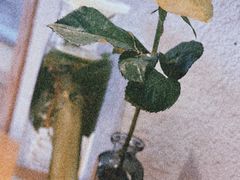 -幸薈飯堂
