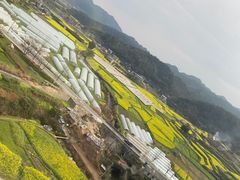 -江川野生菌火锅铜锅鱼(贵清火锅店)