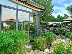 -蘇河湾·新鲁菜·泰山宴(泰山店)
