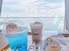 -抱抱地球咖啡馆(国家海洋博物馆店)