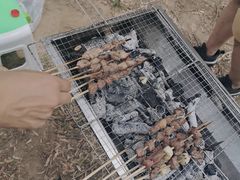 -西青郊野公园