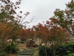 -广州市帽峰山景区