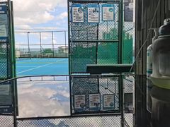 -君成体育|网球培训(蛇口校区)