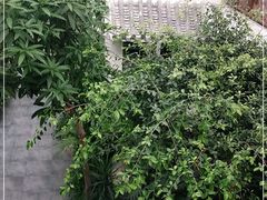 -滕头生态酒店(奉化店)