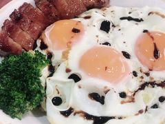-肥韬茶餐厅(南山mini店)