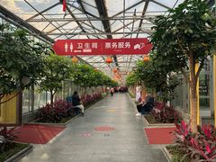 -南宫五洲植物乐园