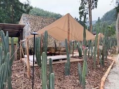 -MOJ coffee(瓯海泽雅水碓坑店)