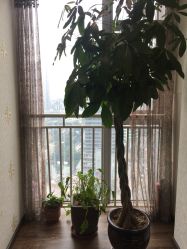 -源素美容养生会所