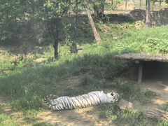 -大连森林动物园