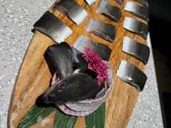 -吉力烤鳗