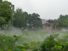 -四川大学(望江校区)