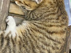 -一品格美术·中考高中成人美术培训