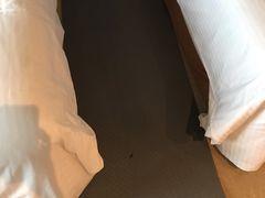 -南桥绿地铂骊酒店