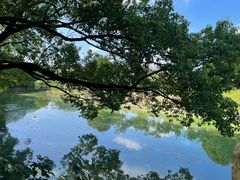 -同里国家湿地公园