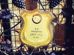 -北京张裕爱斐堡酒庄
