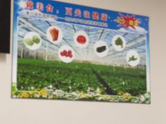 -北京理工大学新食堂