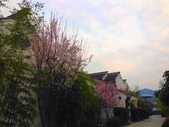 iphone_upload_pic-和茶馆(西溪栖悦城店)