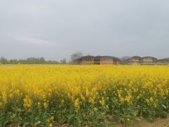 -中国天府农业博览园