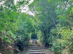 -海南热带雨林国家公园吊罗山景区