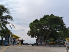 -海角城白海豚浪漫海滩