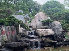 -东莞植物园