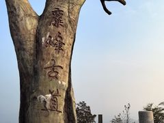 -长沙黑麋峰国家森林公园