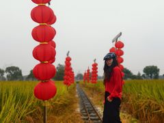 -嘉北郊野公园