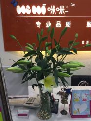 点击看大图 咪咪专业光学脱毛(颐和国际店)-咪咪专业脱毛连锁机构