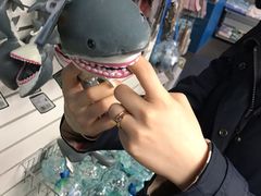 -凯莉-塔尔敦海洋生物水族馆