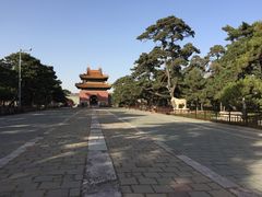 -北陵公园