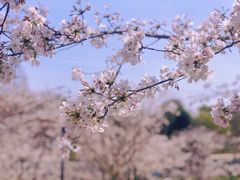 -苏州上方山国家森林公园