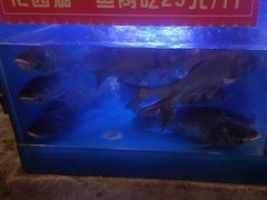 -阿财老铺·凤阳土菜馆