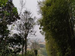 -东部华侨城